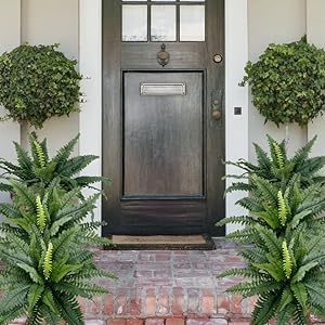 🔥🔥Last Day 75% OFF--UV Resistant Lifelike Artificial Boston Fern