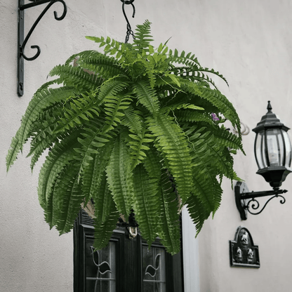 🔥🔥Last Day 75% OFF--UV Resistant Lifelike Artificial Boston Fern
