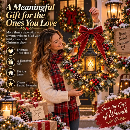 ✨Last Day 49% OFF✨🐦 A Robin Glow – Lighted Robin Christmas Wreath🐦